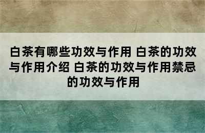 白茶有哪些功效与作用 白茶的功效与作用介绍 白茶的功效与作用禁忌的功效与作用